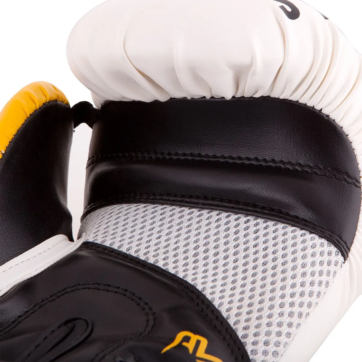 Боксерские перчатки RBG-248 Dx White