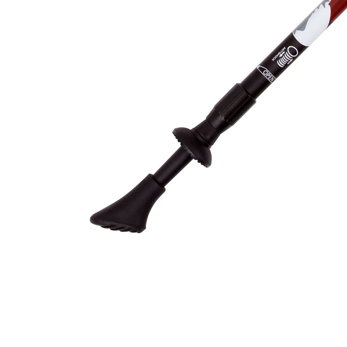 Палки для скандинавской ходьбы TFG-04