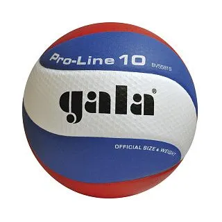 Мяч в/б GALA PRO-LINE BV5581SA