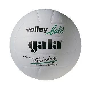 Мяч волейбольный GALA TRAINING WHITE BV5041SB