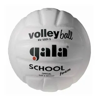 Мяч в/б GALA SCHOOL FOAM белый BV5031SB