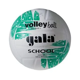 Мяч волейбольный GALA SCHOOL BV5031LB