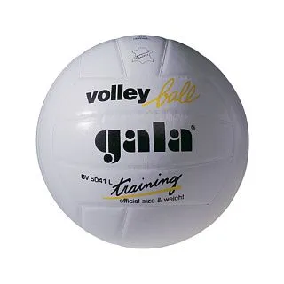 Мяч волейбольный GALA TRAINING WHITE BV5041LB
