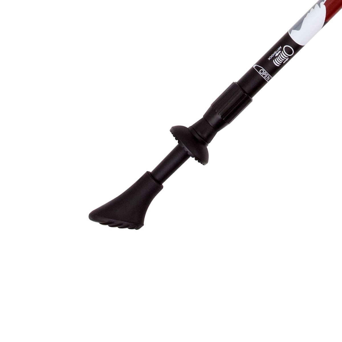 Палки для скандинавской ходьбы NWS-01A